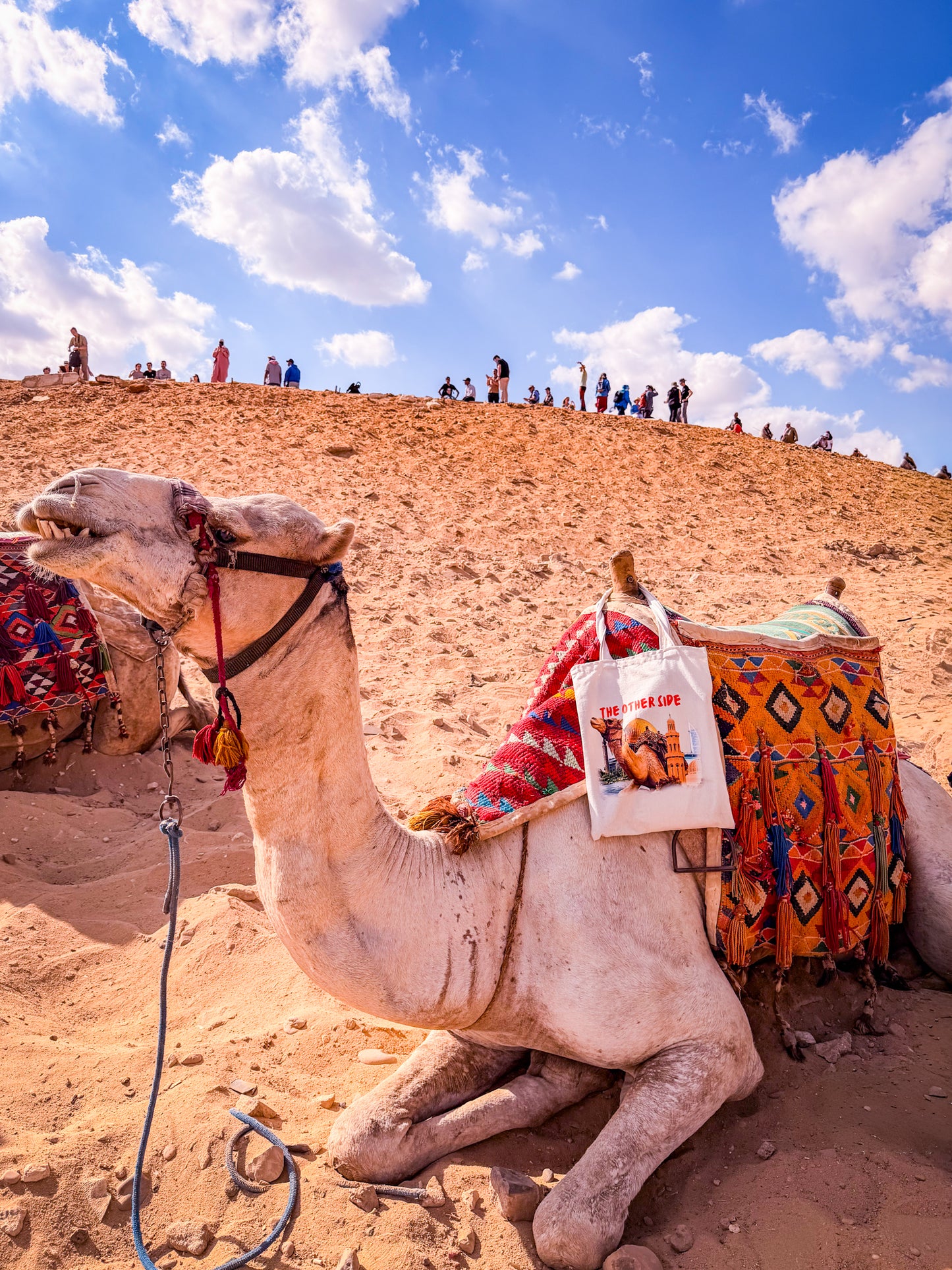 One & The Other side Tote Bag