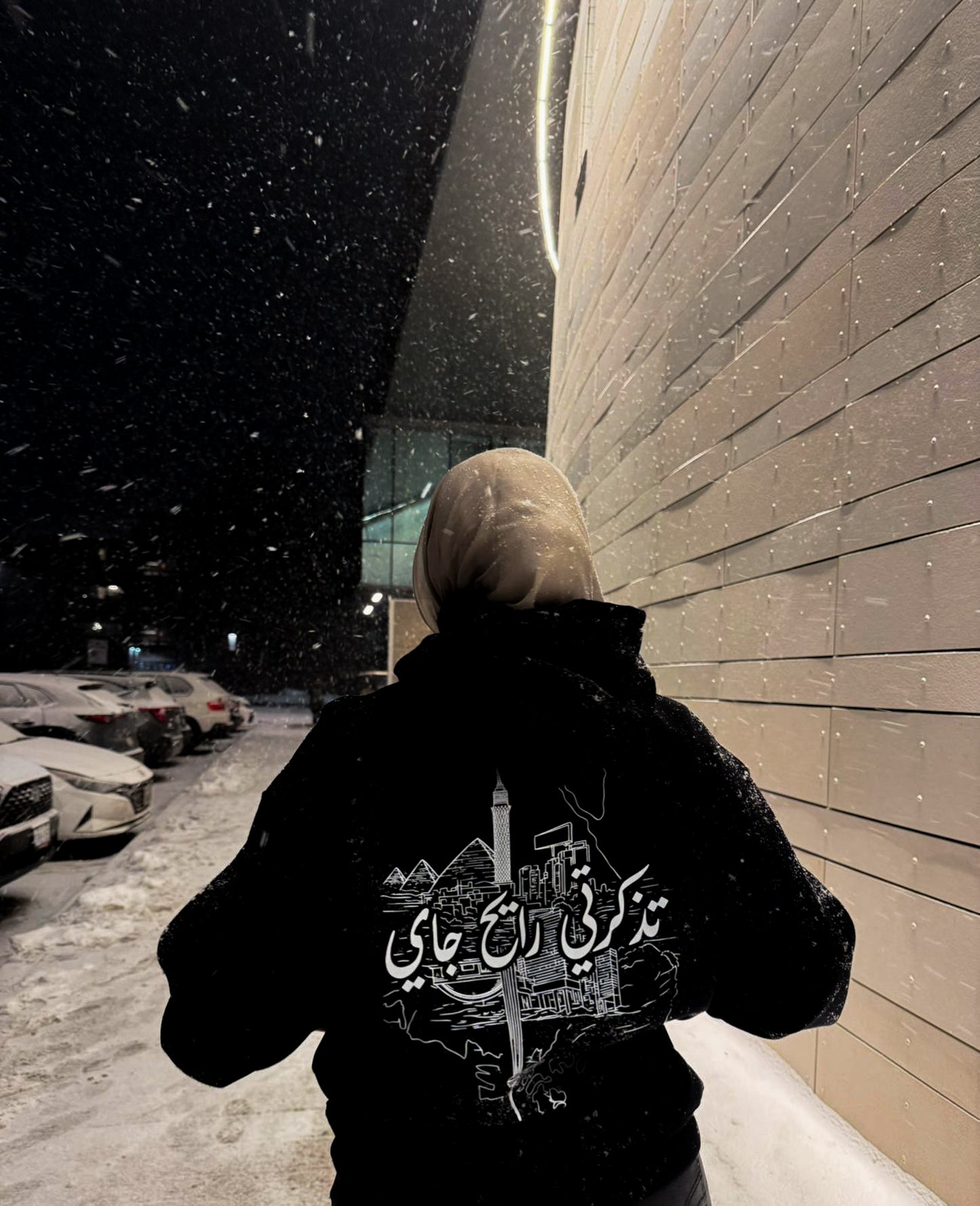 Mcmasr'26 Hoodie